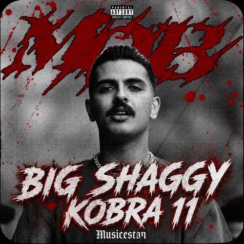 بیگ شگی -کبرا 11 | big shaggy – Kobra 11